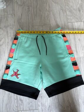 Air Jordan Teal Shorts
